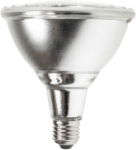 This is a Prolite PAR 38 Light Bulbs