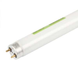 PTNA Shatterproof 15W 450mm Fluorescent Tube Warm White