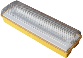 Red Arrow IP65 LED 3.1W 110V Daylight Emergency Maintained/ Non-Maintained Bulkhead
