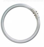This is a Circular Fluorescent Tubes