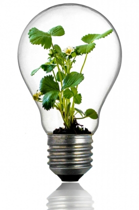 The Worlds First Bio-Powered Bulb Is Revealed