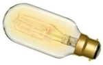 This is a Squirrel Cage Light Bulbs