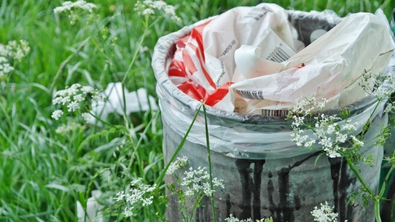 Why Recycling CFLs Is Crucial To A Healthy Home