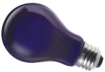 This is a Incandescent Blacklight Blue Light Bulbs