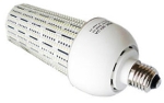 This is a Casell LED Corn Light Bulbs