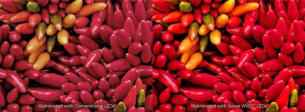 Example of Soraa VIVID LED lamp making colours much more vibrant compared to standard LED lamp