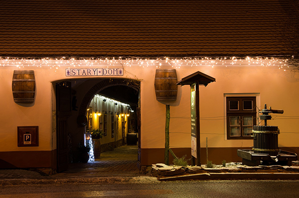 LED String Lights being used to create a magical christmas effect.