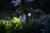 LEDLENSER H5R Core IP67 (200m Beam) Head Torch (Black)