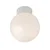 Robus IP44 100W Bathroom Ceiling Globe Fitting