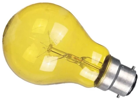 This is a Product image