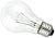 25 Watt Standard Shape (GLS) Edison Screw Clear