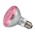 250w-ruby-infra-red-reflector-bulb.webp