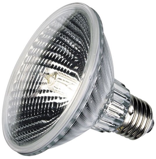 30 watt deals halogen