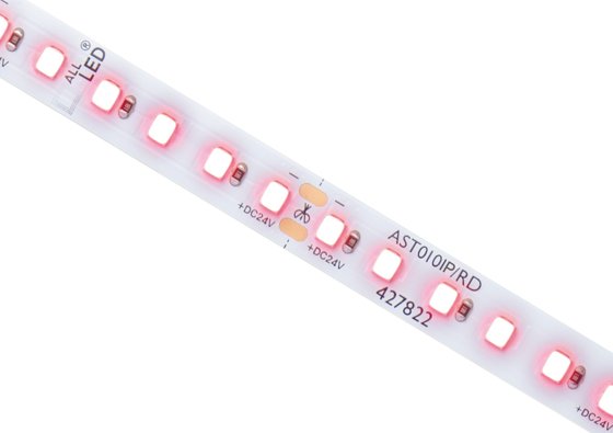All LED Colour Pro 1 Metre 24V IP65 LED Strip Corsa Red 10 Watt per Metre This is a Product image