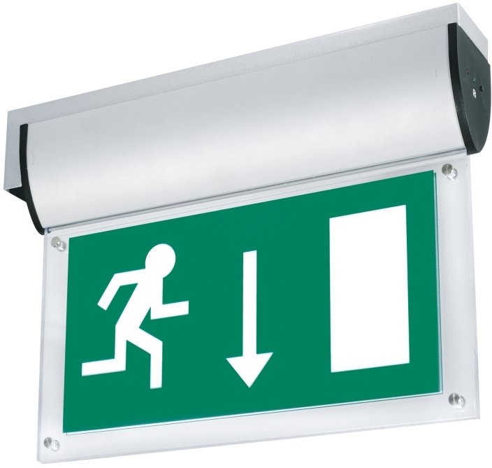 Emergency Exit Legend - Down - Aurora LED