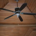This is a Ceiling Fans