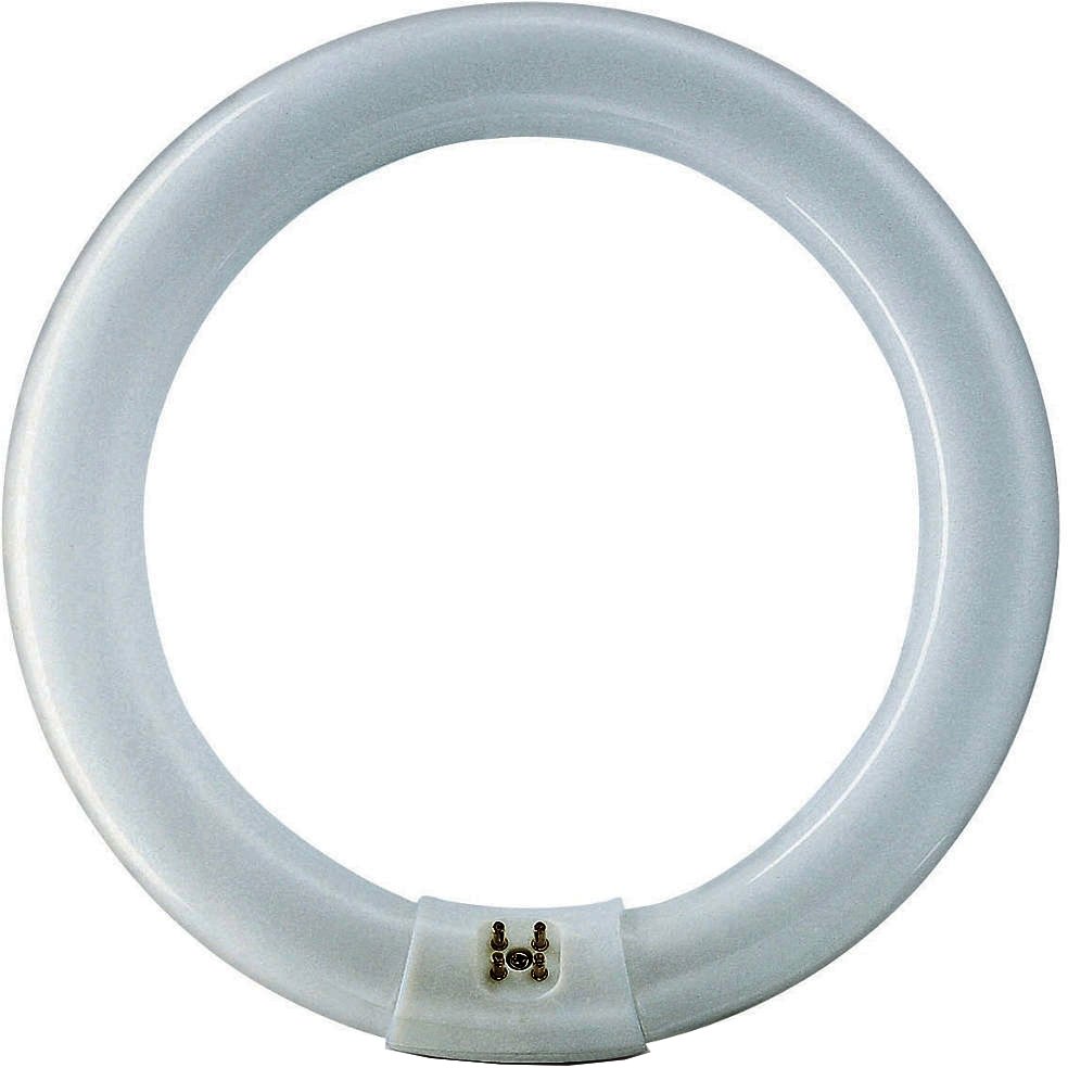40W T9 Circular Fluorescent Tube, 406mm Diameter, Cool White (G10q Base)