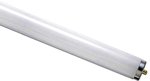 This is a Single Pin Fluorescent Tubes