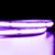 LED Strip Seamless COB 24V IP20 (Purple) 10 Watts per Metre Dotless (Sold per metre)