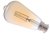 LyvEco 6W Non-Dimmable ST64 Gold Glass B22 LED Filament Bulb Very Warm White (50W Equivalent)