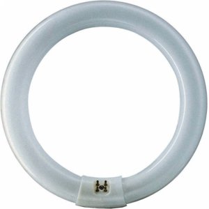 Philips UV FlyKiller 22W T9 G10q Circular Shatterproof Tube