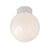 Robus IP44 100W Bathroom Ceiling Globe Fitting