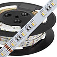 Robus VEGAS LED Strip Light RGB Cool White 4000K IP20