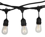 This is a Festoon Lights