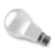 bell-lighting-led-gls-opal-bayonet-cap-bulb.webp
