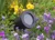 black-ip54-gu10-garden-spike-light.webp