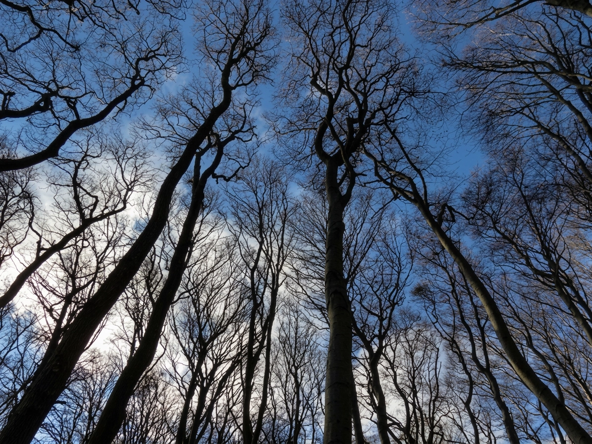 Implement Your Energy Saving Measures Before Winter Sets In