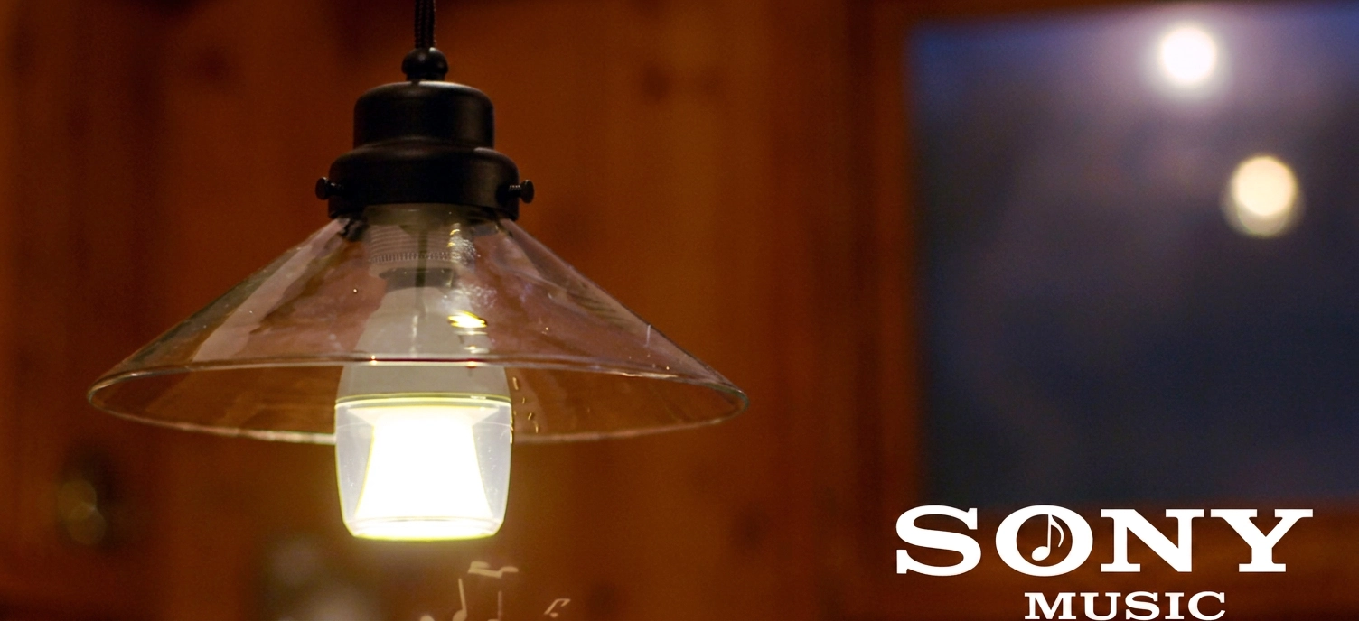 Sony LED Speaker Light Bulb In A Fitting