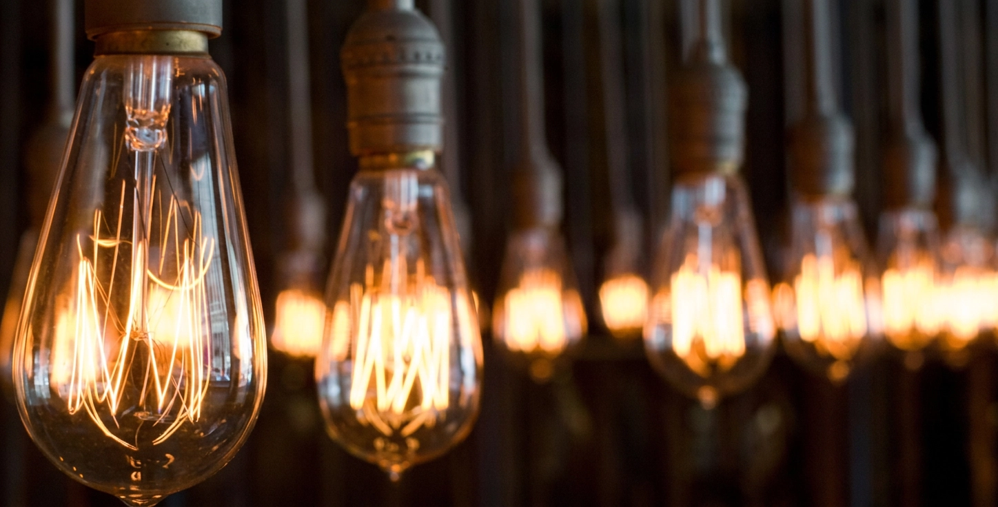 Squirrel Vintage Light Bulbs From BLT Direct