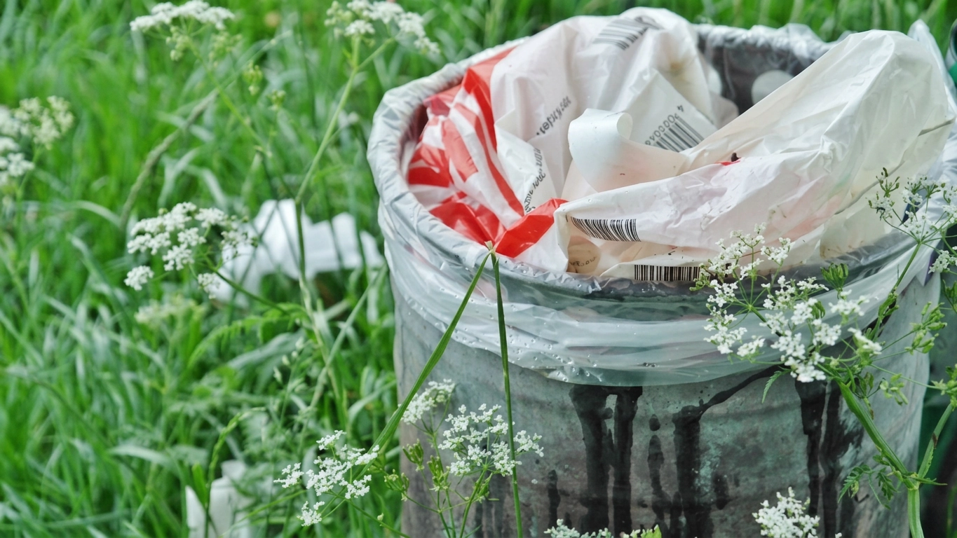 Why Recycling CFLs Is Crucial To A Healthy Home