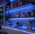 blue-seamless-cob-led-strip-24v-ip20-10-watts-per-metre-dotless
