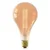 calex-royal-osby-filament-bulb-warm-white-gold.webp