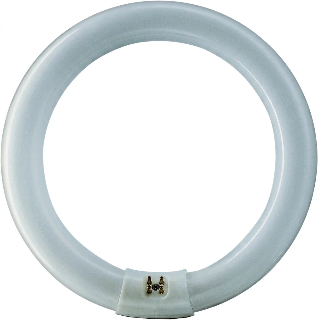 22W 210mm T9 Circular Fluorescent (4 Pins) - Daylight (860/865)