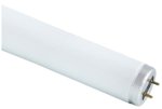 This is a Fluorescent Tube Lights