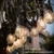 ener-j-ip65-outdoor-festoon-string-lights.webp