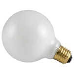 This is a Globe Light Bulbs