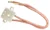 g4-2-pin-lamp-holder-20mm-width.webp