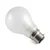 gls-bc-pearl-incandescent-light-bulbs.webp
