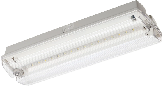 Red Arrow 3.5W IP65 Non-Maintained LED Emergency Bulkhead Daylight This is a Product image