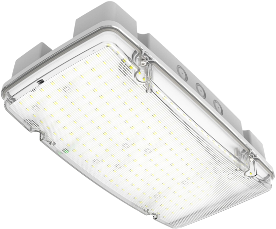 Vanguard Maxi NM Bulkhead 1500lm 3Hr IP65 This is a Product image