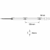LED Strip Seamless COB 24V IP20 (Cool White - 4000K) 10 Watts per Metre Dotless