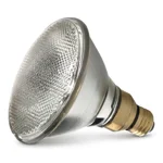 This is a Par 38 Light Bulbs