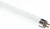 philips-8w-t5-uv-fly-killer-tubes.webp