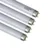 philips-t8-uv-fly-killer-tube.webp