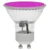 prolite-18w-led-gu10-magenta-light-bulb.webp