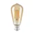 prolite-led-filament-squirrel-cage-gold-tint.webp